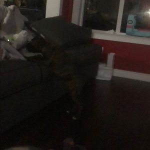 Meet your Posher, Jason